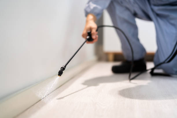 Licensed Pest Control service in Bovina, TX - Show Me Pest Control