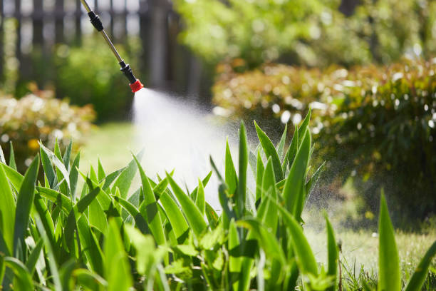24/7 Emergency Wasp Removal experts in Bovina, TX