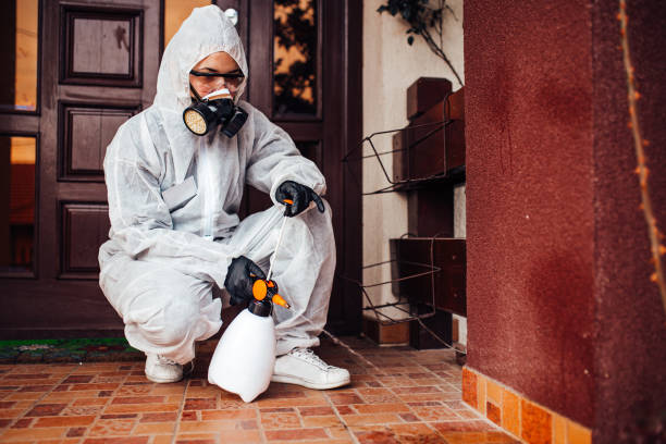 Reliable Wasp Removal contractor in Bovina, TX by Show Me Pest Control